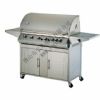 Gas Barbecue Grill